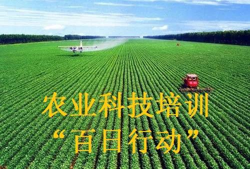 农业科技培训“百日行动”专栏