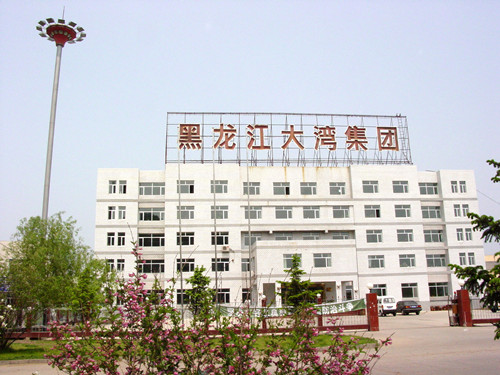 黑龙江大湾集团有限公司